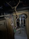 IMG_6150.jpeg