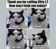 cat it.jpg