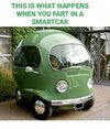 smart fart.jpeg