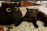 IMG_0427.jpeg