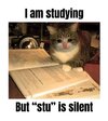 IMG_0428.jpeg