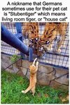 1748105410924.jpeg