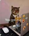 IMG_0459.jpeg