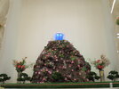 IMG_1794.JPG
