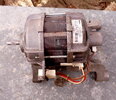 1-P1240829.JPG