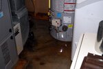 03 - Furnace room Mar 31.JPG