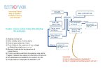 sp flow chart.jpg
