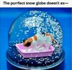 snowglobe.jpeg