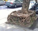 IMG_0763.jpeg