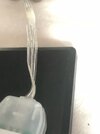 IMG_2738.jpeg
