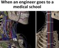 IMG_0802.jpeg
