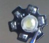 Photo_00001.jpg
