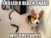 I killed the black snake.jpg I killed the black snake.jpg