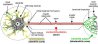 Neuron01.jpg