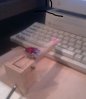 fingerkey.jpg