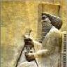 Mehrdad1