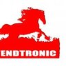 TendtronicB