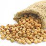 soyabean