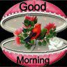 baceyeb
