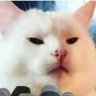 fritzdecat