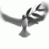 Night Eagle