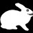 whiterabbit
