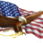 AlanC