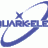Quark-elec