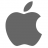 apple100