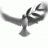Night Eagle