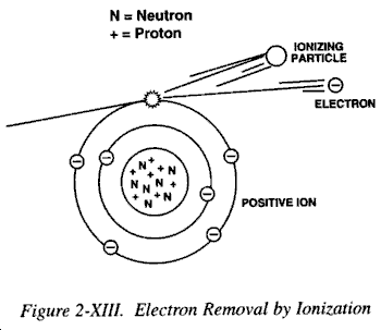 fig2-XIII.gif