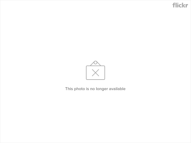 4575500221_9e08bee898_z.jpg