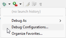run_debug_config-1.png