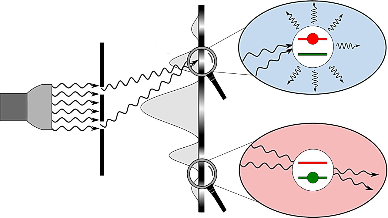 phys.org