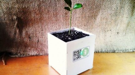 DIY Smart Plant pot