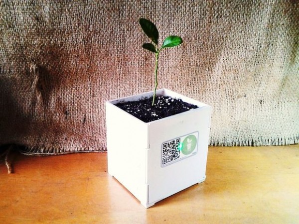 DIY Smart Plant pot