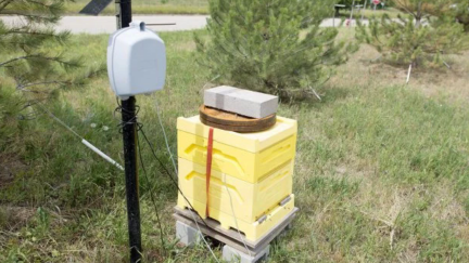 Adding Sensors to Monitor Hive Health