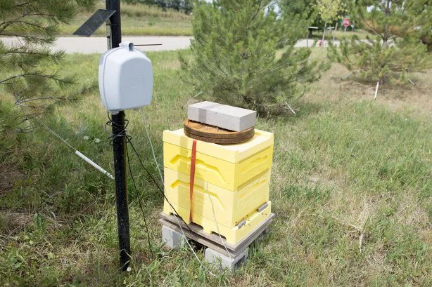 Adding Sensors to Monitor Hive Health