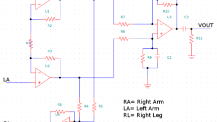 Understanding bioelectricity