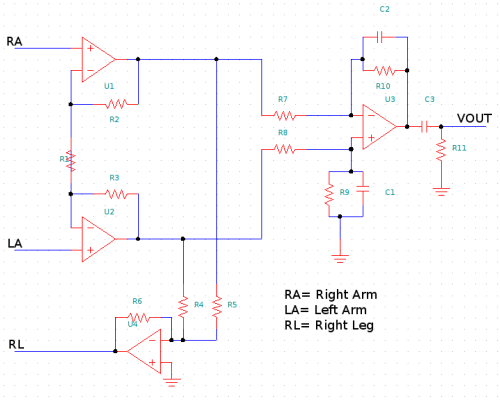 Understanding bioelectricity