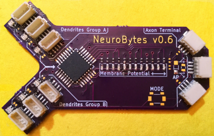 NeuroBytes Simulate Dendrite to Axon Input/Output