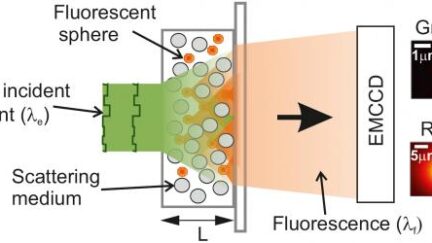 Better LEDs with just a trick of the light