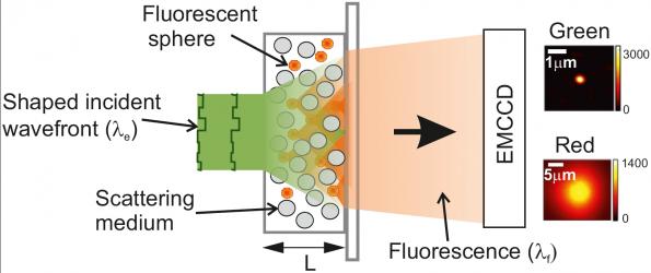 Better LEDs with just a trick of the light