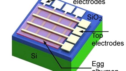Egg Memristor recipe (serves one)