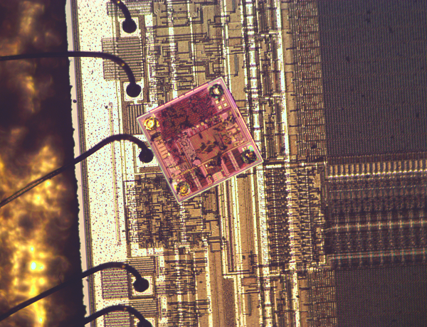 Inside the tiny RFID chip that runs San Francisco’s race Inside the tiny RFID chip that runs San Francisco’s race