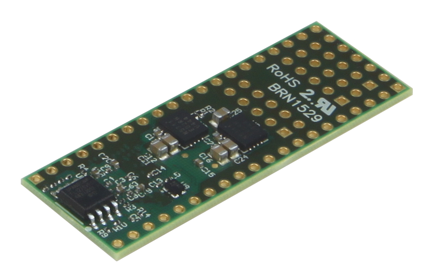 DIPFORTy back side-FPGA Board