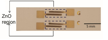 Schematic Of Sensor Setup