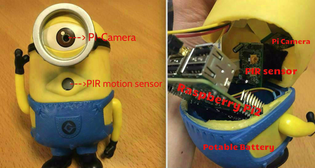 Camera and PIR sensor setup