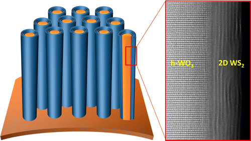 Nanowire Supercapacitor Made of Capacitive 2D WS2 Layers