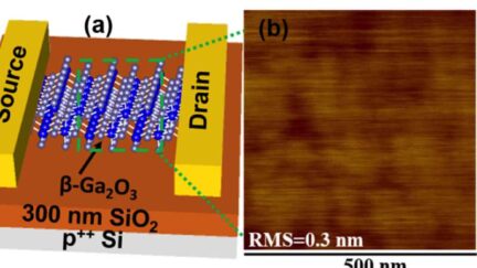 The Next-Generation Semiconductor for Power Electronics